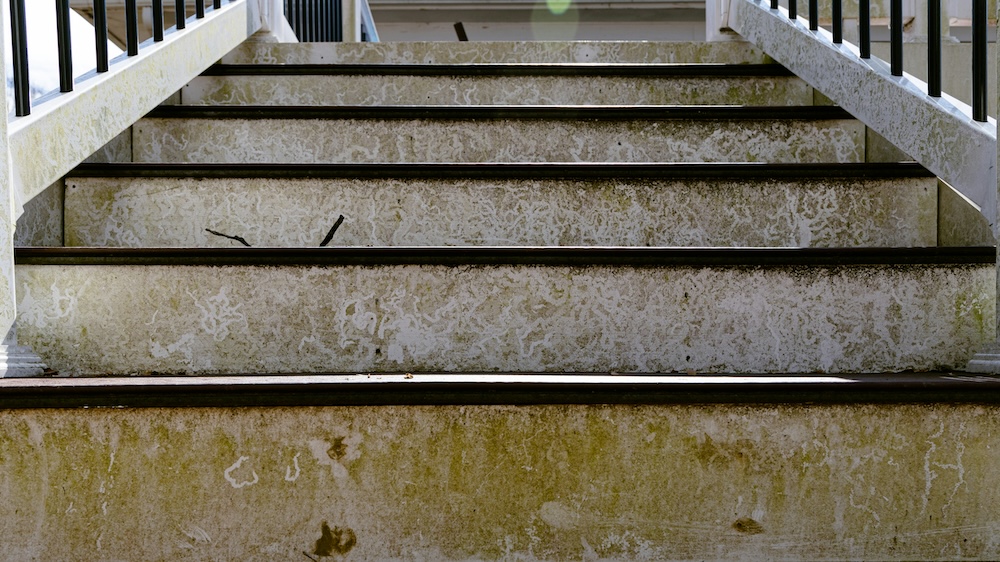 mold and debris on stairs