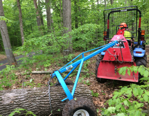 person and machine moving a downed tree in a forest