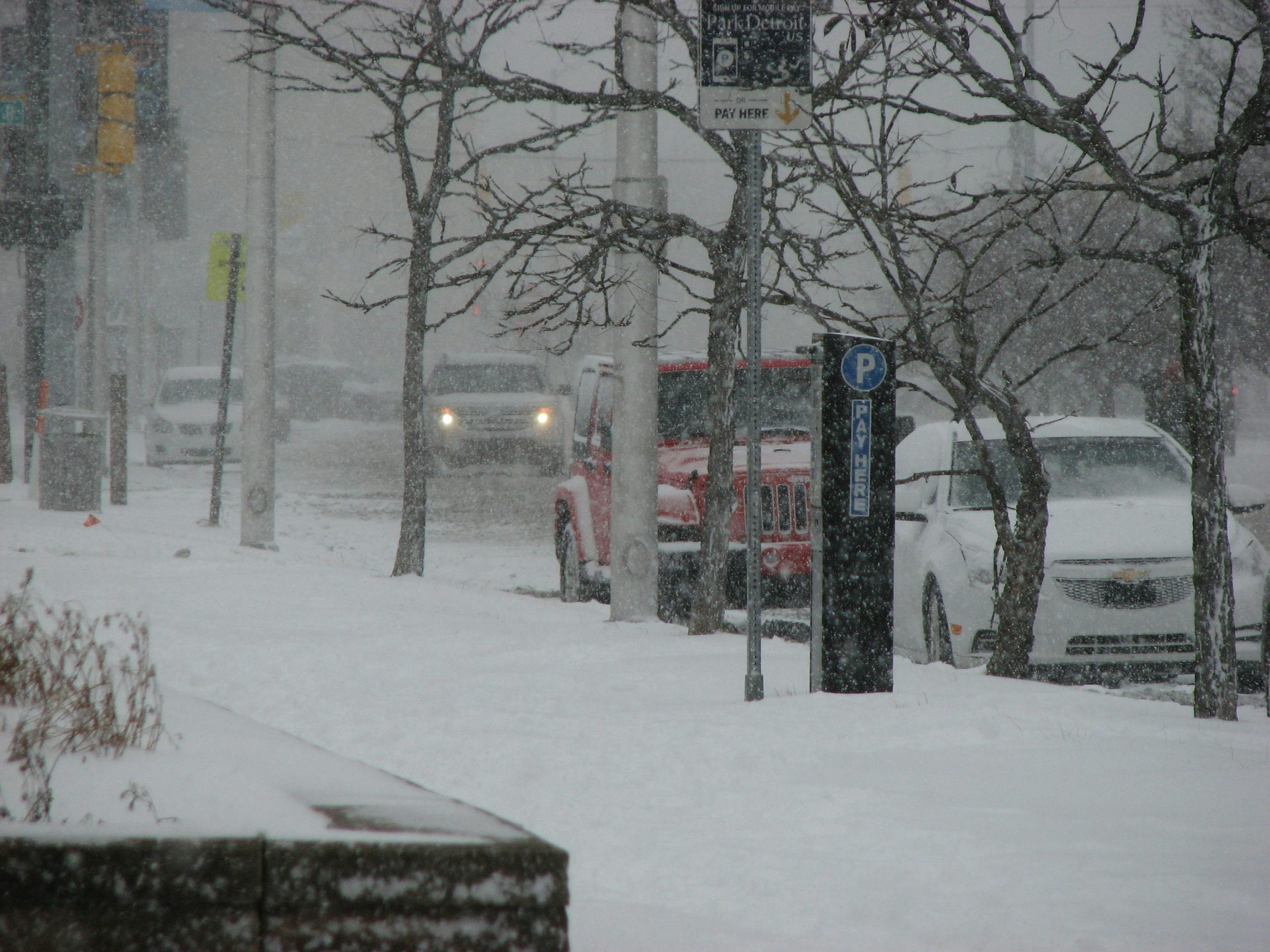 cars parked on the edge of a snow-filled street