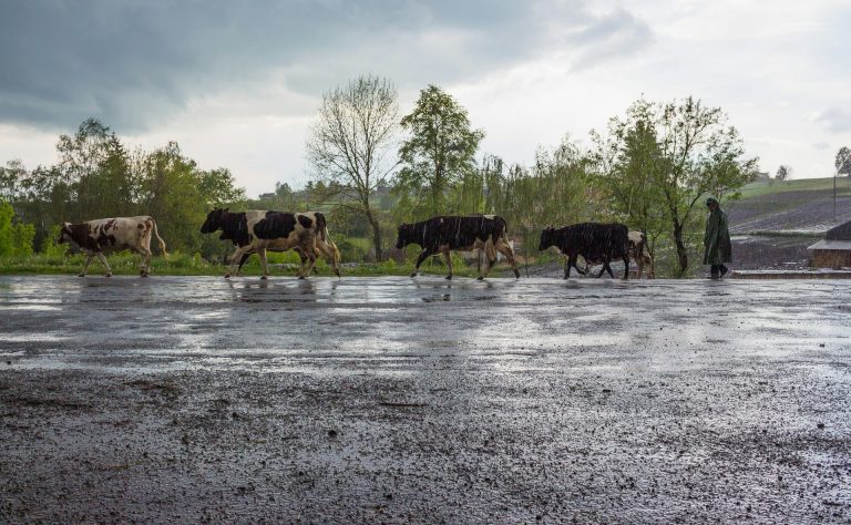 flooded farm field with top of fence showing in the water