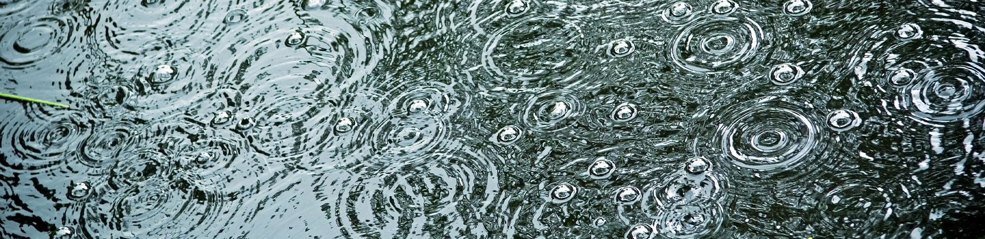 rain drops in water